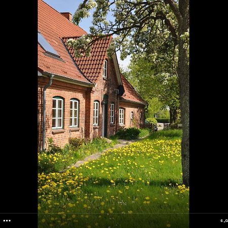 Landhaus Hohenfelde Hohenfelde  Экстерьер фото